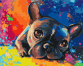 Malen nach Zahlen Motiv - Farbige Bulldogge