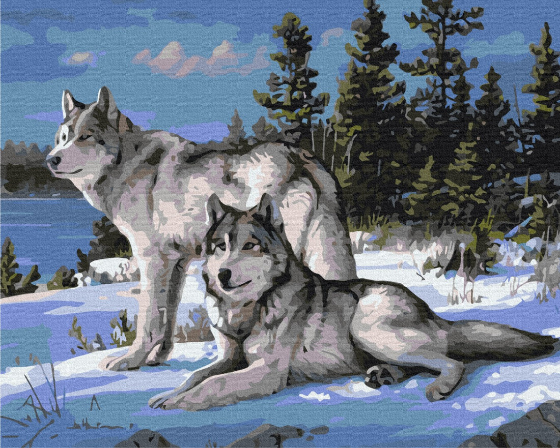Malen nach Zahlen Motiv - Wolfsrudel