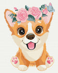 Malen nach Zahlen Motiv - Corgi in einer Krone