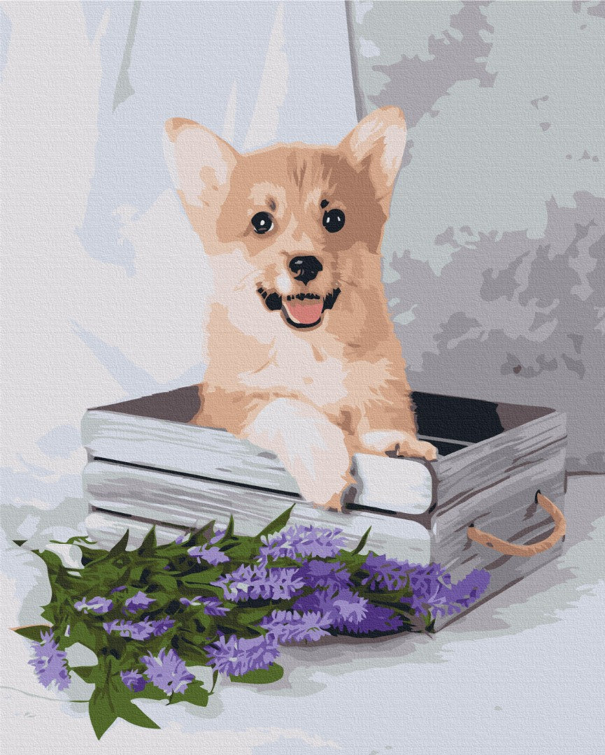 Malen nach Zahlen Motiv - Verspielter Corgi