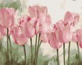 Malen nach Zahlen Motiv - Zarte Tulpen