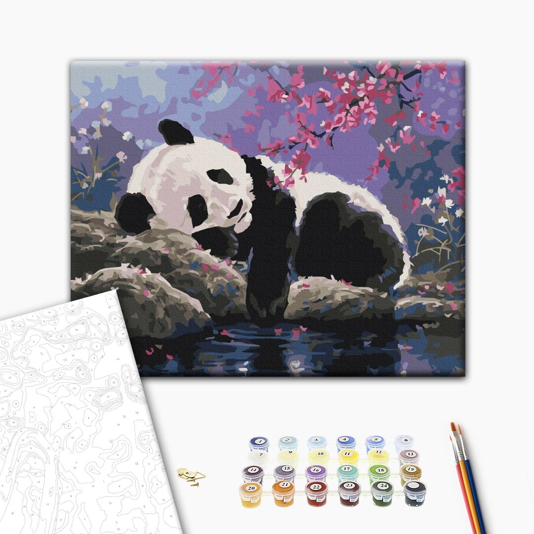 Pandas süßer Traum - Malen nach Zahlen Bild auf Leinwand mit Pinseln und Farben
