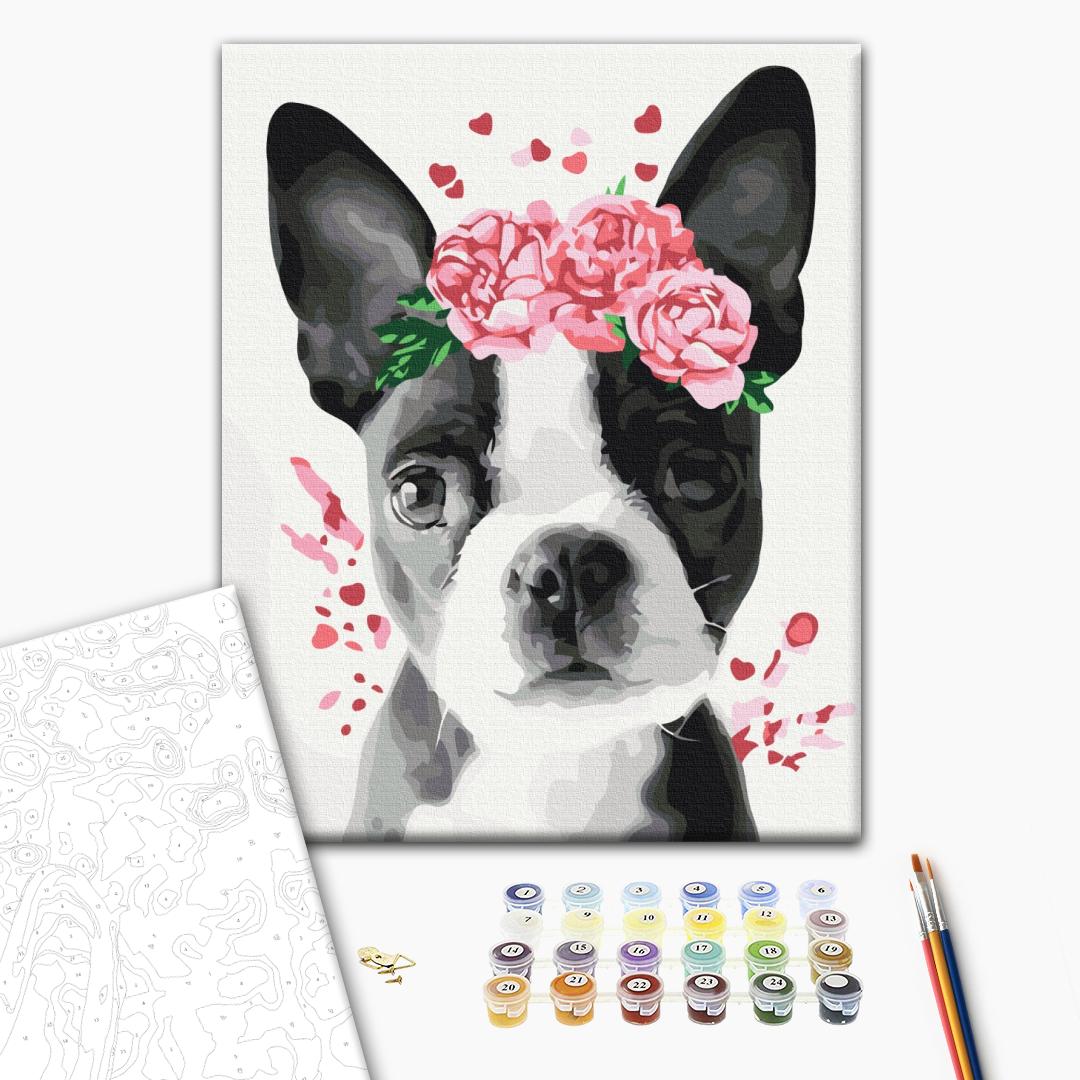 Boston Terrier in einem Kranz - Malen nach Zahlen Bild auf Leinwand mit Pinseln und Farben
