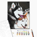 Husky - Malen nach Zahlen Bild auf Leinwand mit Pinseln und Farben