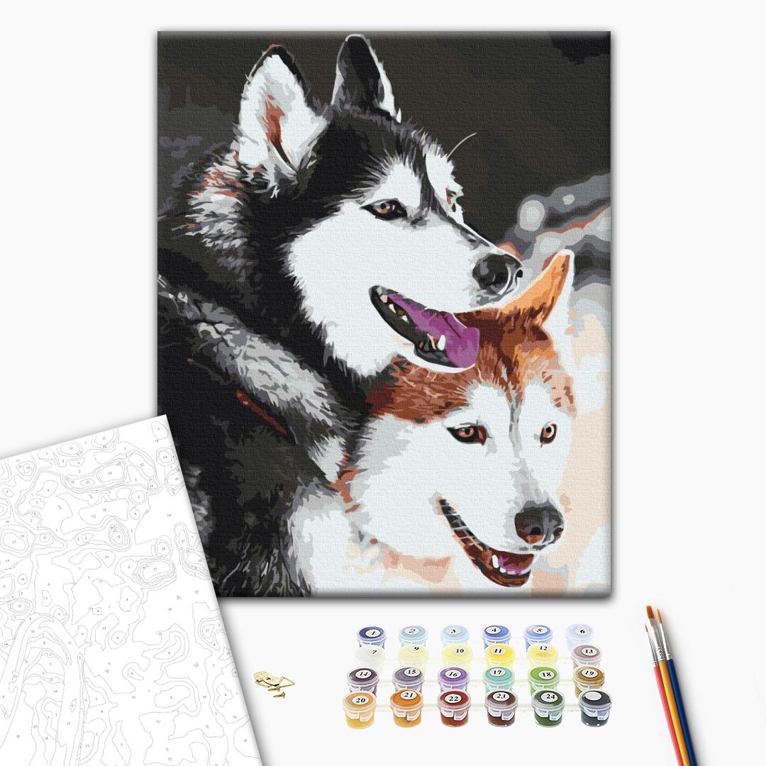 Husky - Malen nach Zahlen Bild auf Leinwand mit Pinseln und Farben