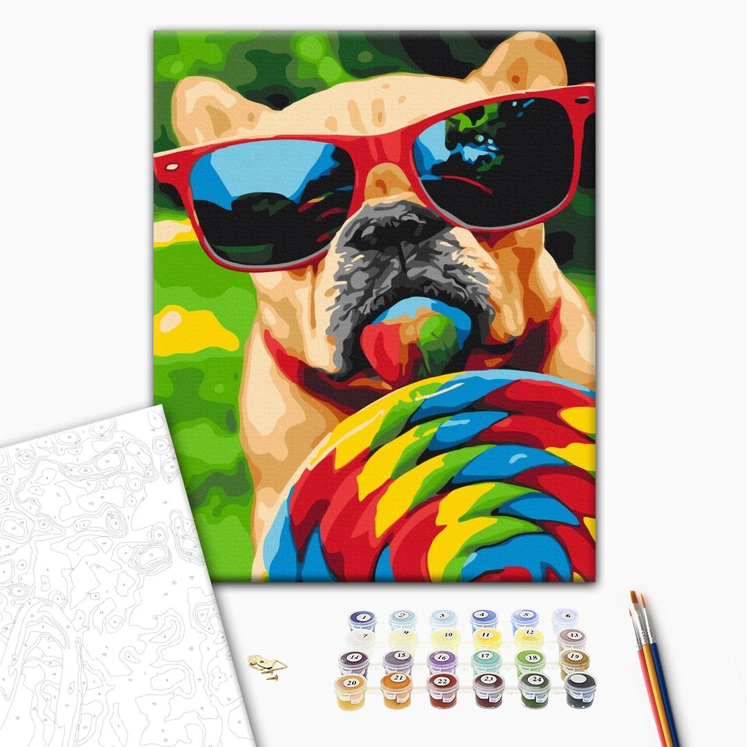 Sommerhund - Malen nach Zahlen Bild auf Leinwand mit Pinseln und Farben