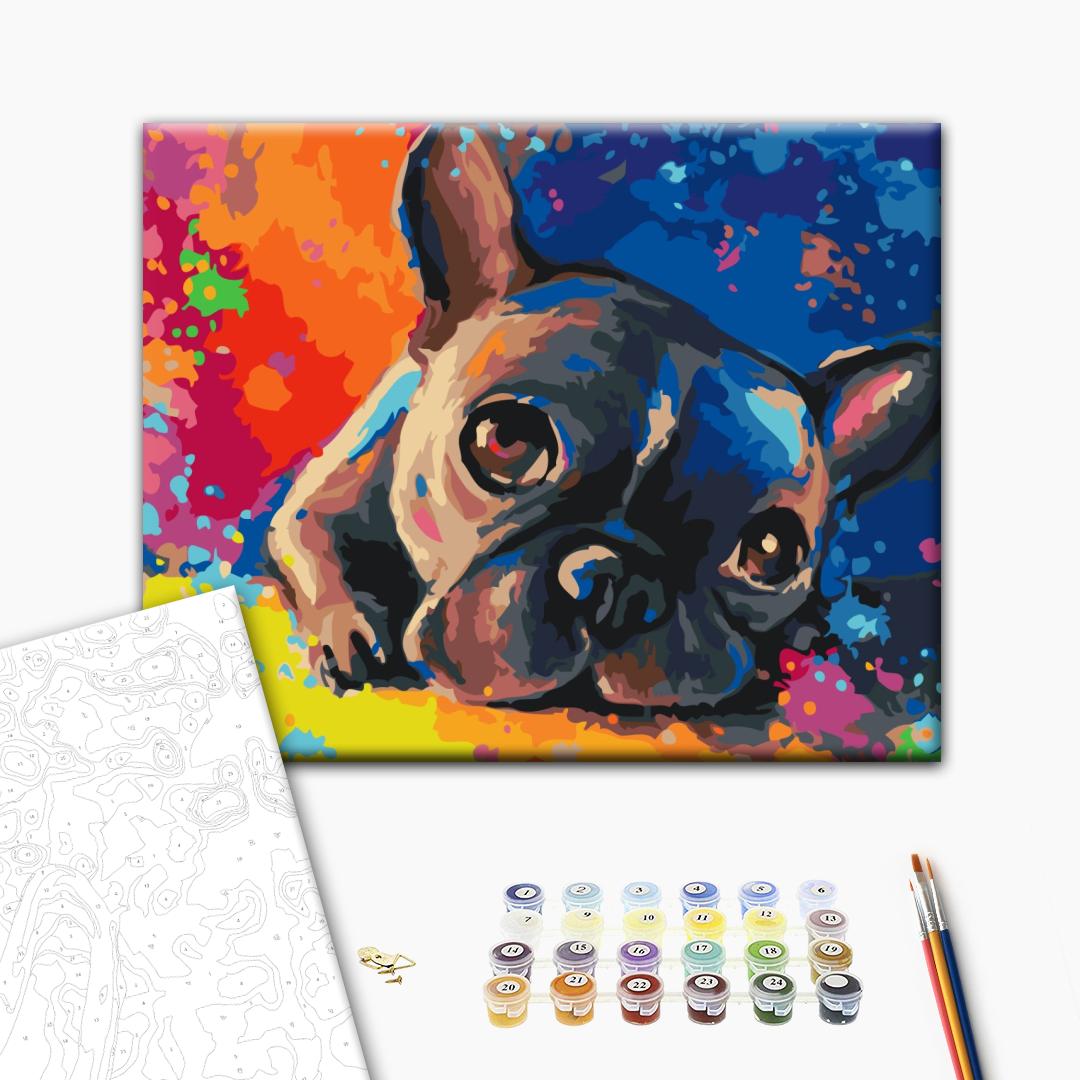 Farbige Bulldogge - Malen nach Zahlen Bild auf Leinwand mit Pinseln und Farben