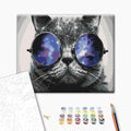 Katze mit Sonnenbrille - Malen nach Zahlen Bild auf Leinwand mit Pinseln und Farben