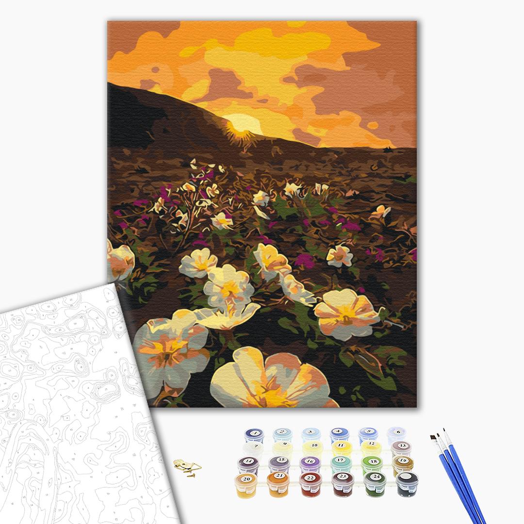 Blumen der Sonne - Malen nach Zahlen Bild auf Leinwand mit Pinseln und Farben