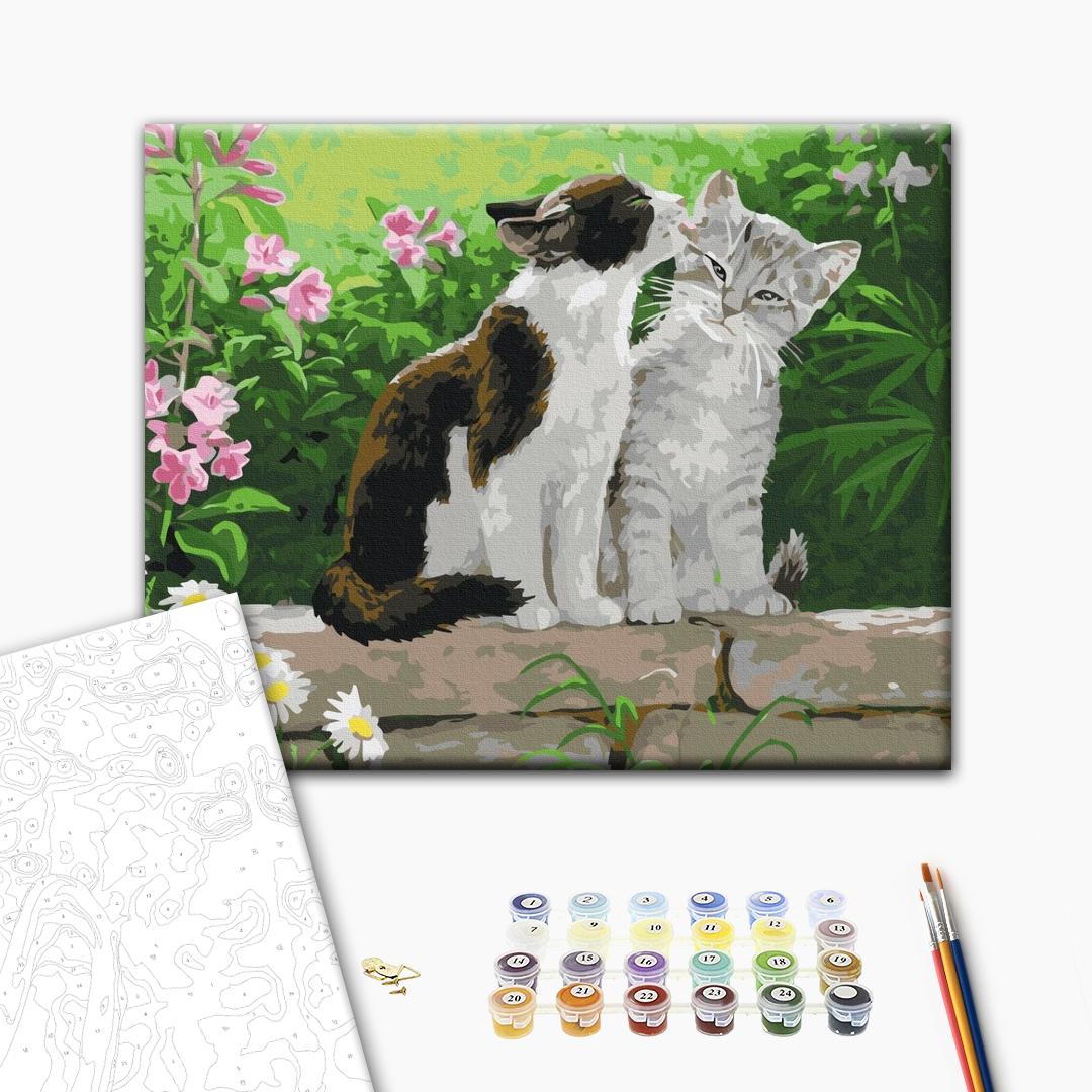 Katzenpärchen - Malen nach Zahlen Bild auf Leinwand mit Pinseln und Farben
