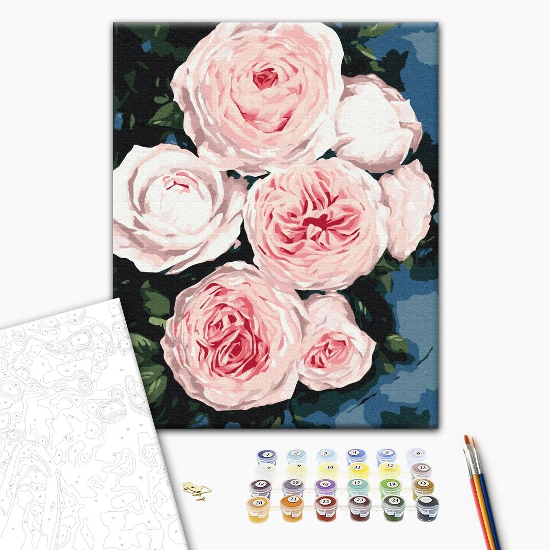 Die Knospen von üppigen Rosen - Malen nach Zahlen Bild auf Leinwand mit Pinseln und Farben