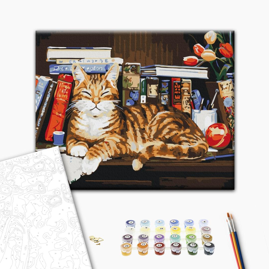 Eine Katze auf einem Bücherregal - Malen nach Zahlen Bild auf Leinwand mit Pinseln und Farben