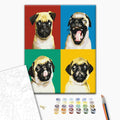 Die Mops-Collage - Malen nach Zahlen Bild auf Leinwand mit Pinseln und Farben