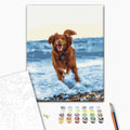 Glücklicher Hund im Meer - Malen nach Zahlen Bild auf Leinwand mit Pinseln und Farben