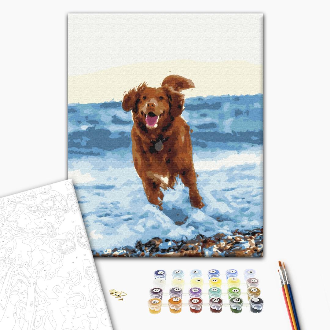 Glücklicher Hund im Meer - Malen nach Zahlen Bild auf Leinwand mit Pinseln und Farben