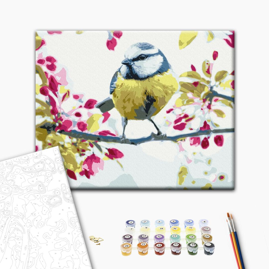 Frühlingsmeise - Malen nach Zahlen Bild auf Leinwand mit Pinseln und Farben