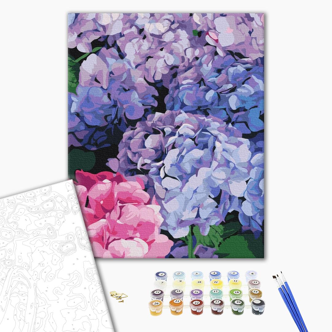 Helle Hortensie - Malen nach Zahlen Bild auf Leinwand mit Pinseln und Farben