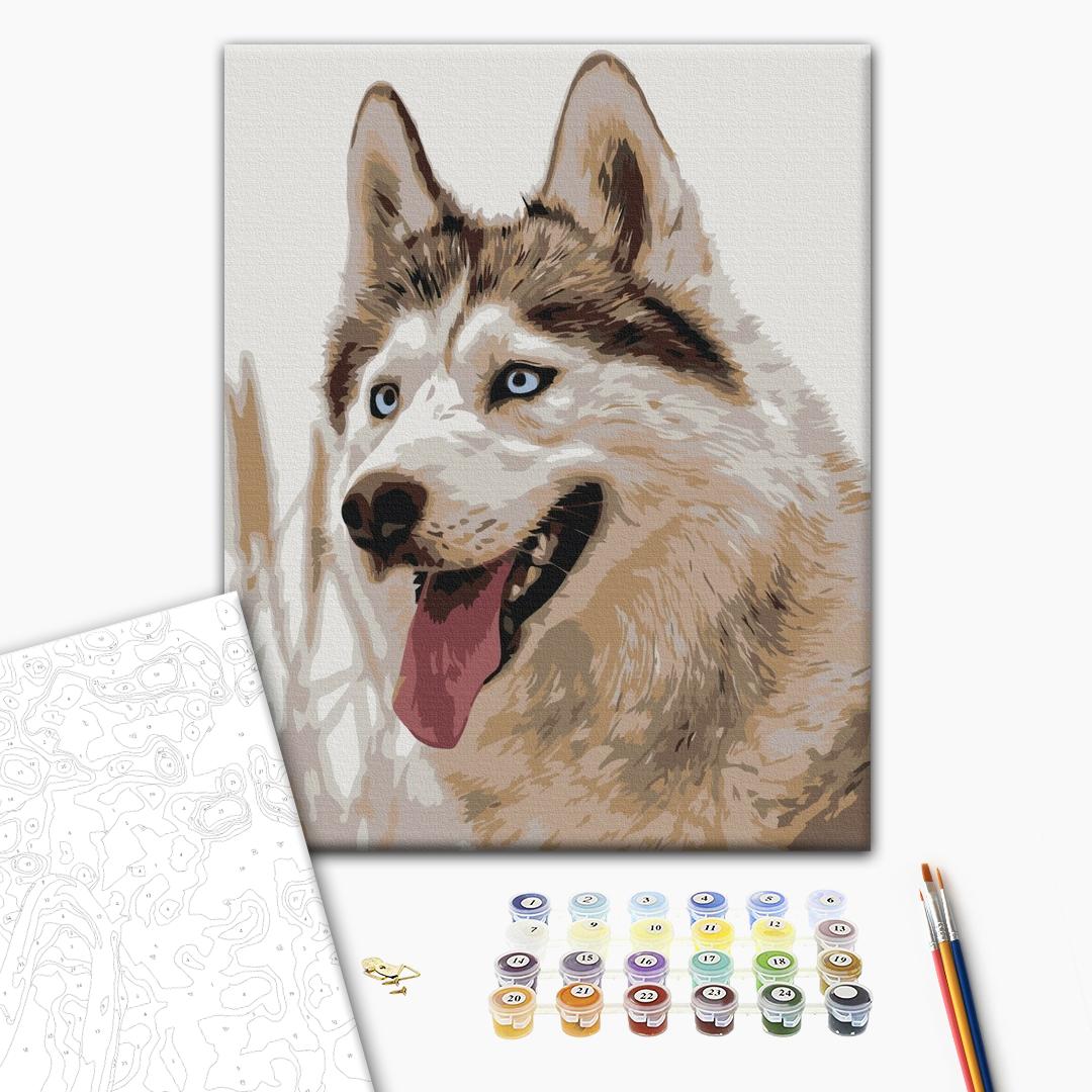 Wolf - Malen nach Zahlen Bild auf Leinwand mit Pinseln und Farben