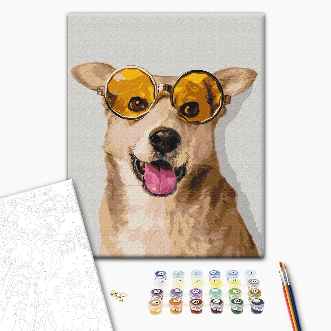 Corgi Hipster - Malen nach Zahlen Bild auf Leinwand mit Pinseln und Farben