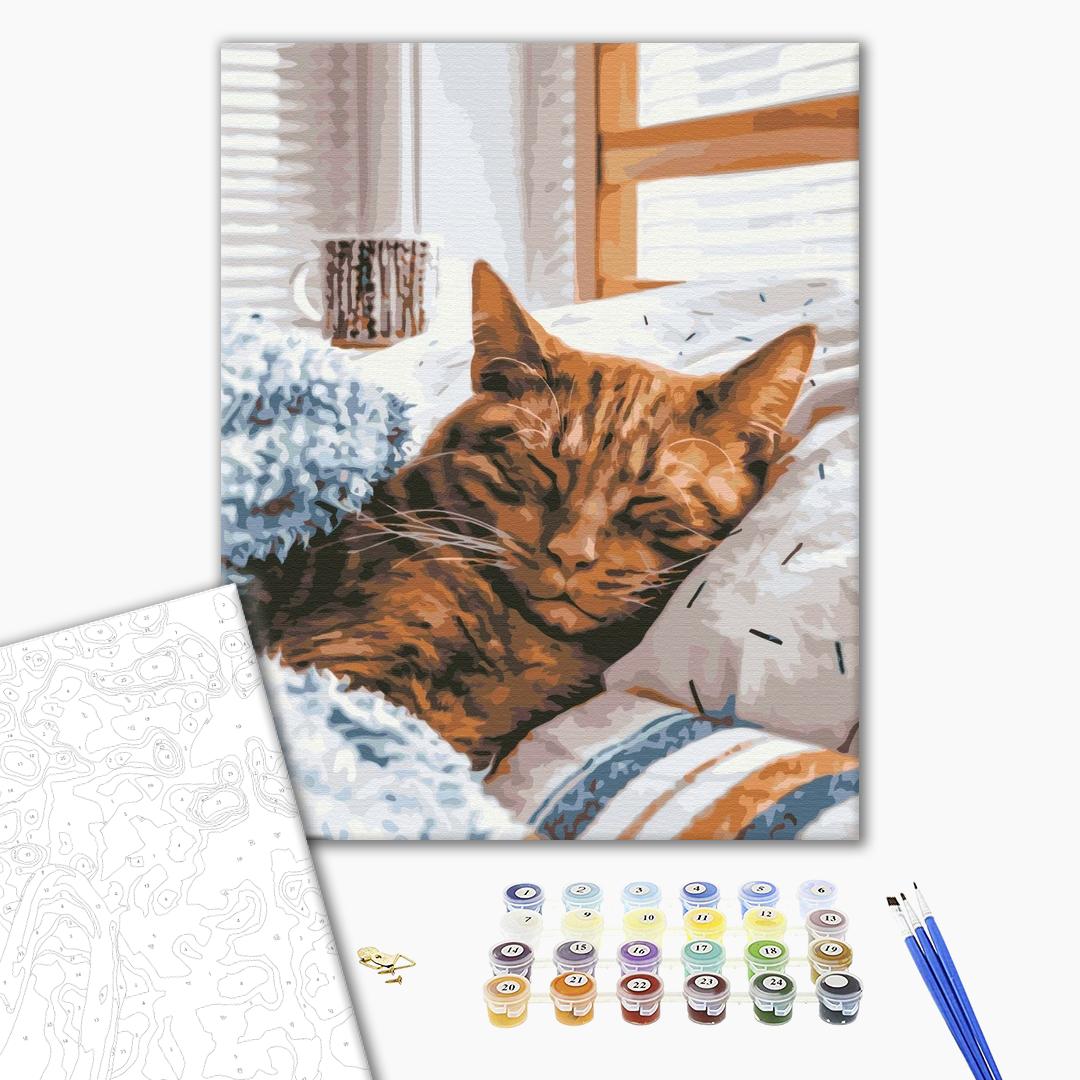 Schlafende Katze - Malen nach Zahlen Bild auf Leinwand mit Pinseln und Farben