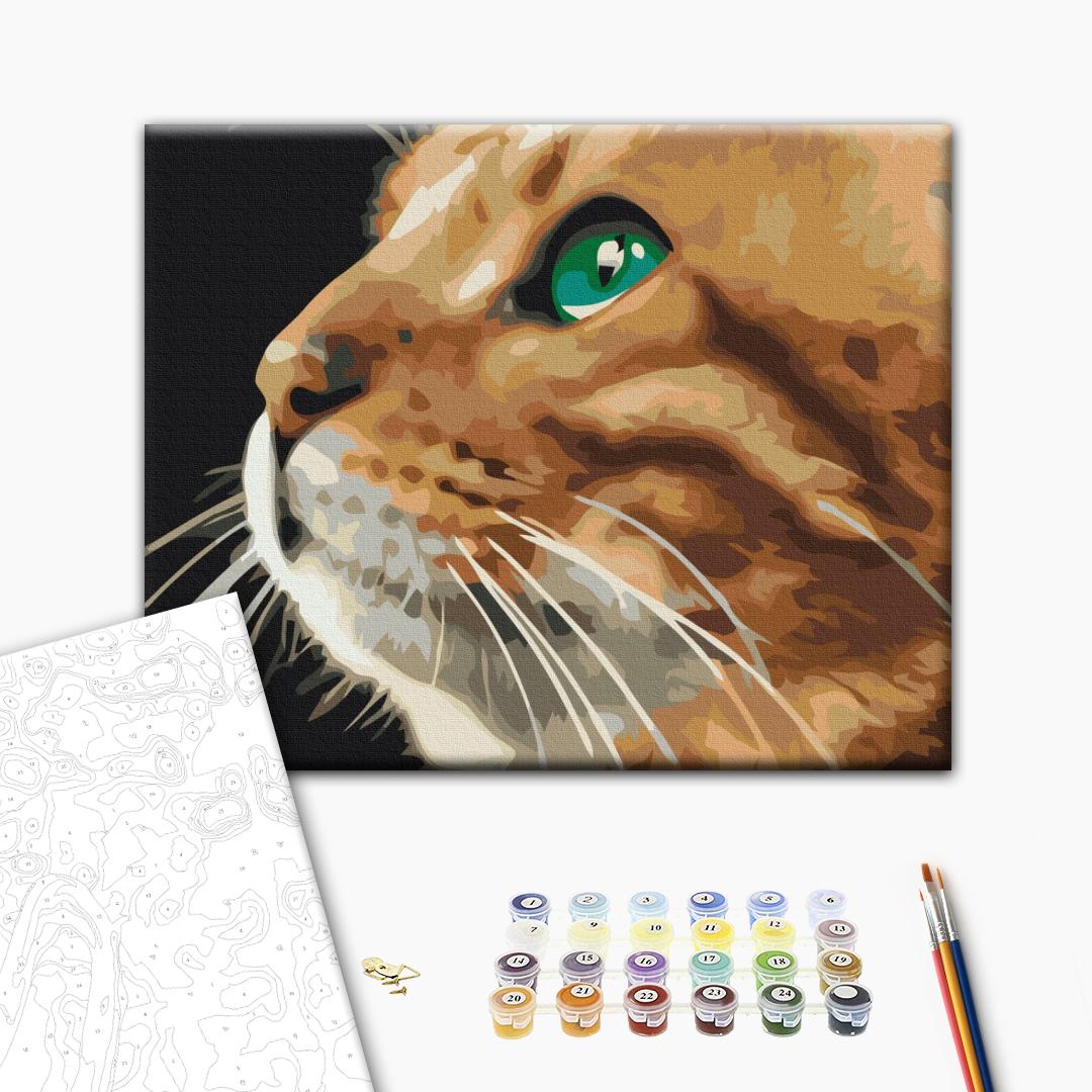 Blick der Katze - Malen nach Zahlen Bild auf Leinwand mit Pinseln und Farben