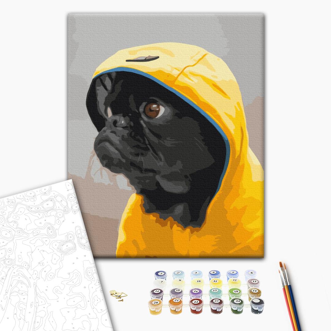 Der Mops in Hoodie - Malen nach Zahlen Bild auf Leinwand mit Pinseln und Farben