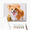 Gentleman Hund - Malen nach Zahlen Bild auf Leinwand mit Pinseln und Farben