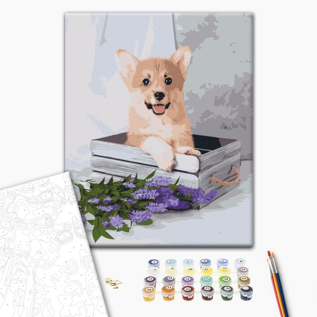 Verspielter Corgi - Malen nach Zahlen Bild auf Leinwand mit Pinseln und Farben