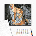 Wilde Tiger - Malen nach Zahlen Bild auf Leinwand mit Pinseln und Farben