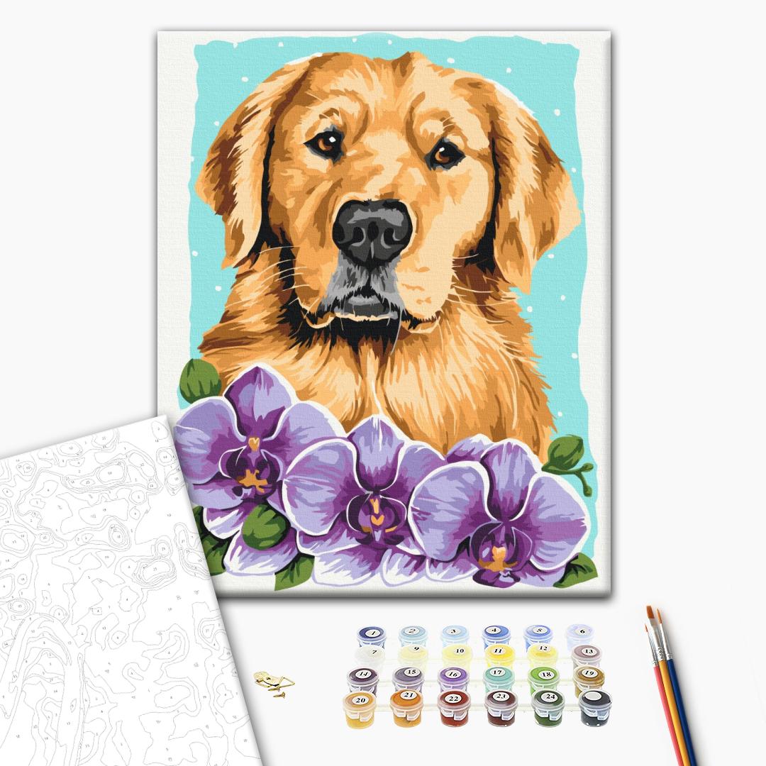 Golden Retriever - Malen nach Zahlen Bild auf Leinwand mit Pinseln und Farben