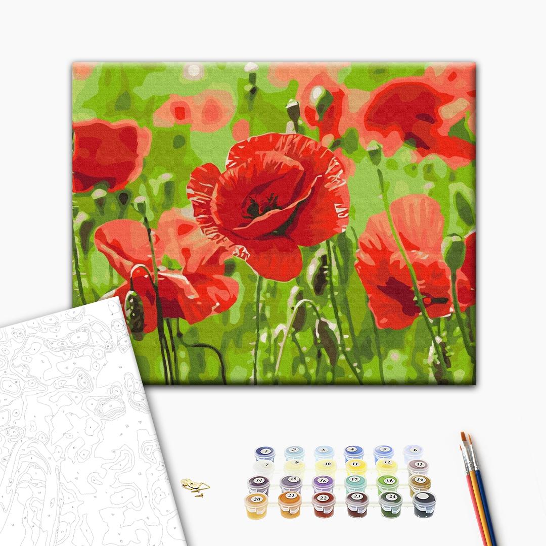 Rote Mohnblumen - Malen nach Zahlen Bild auf Leinwand mit Pinseln und Farben