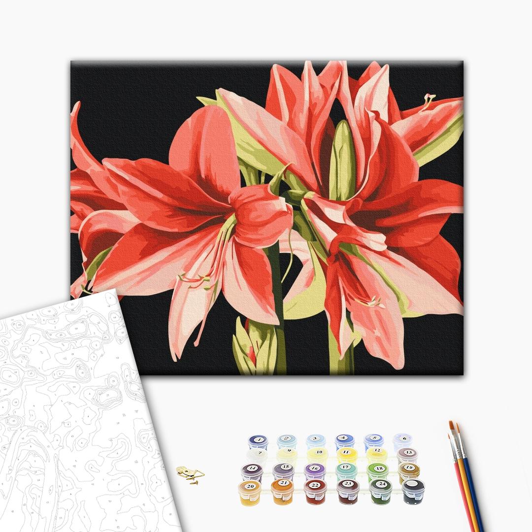 Amaryllis - Malen nach Zahlen Bild auf Leinwand mit Pinseln und Farben