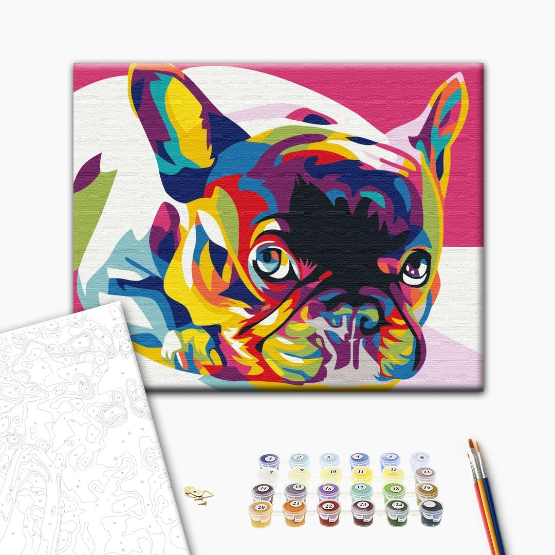 Regenbogen Bulldogge - Malen nach Zahlen Bild auf Leinwand mit Pinseln und Farben