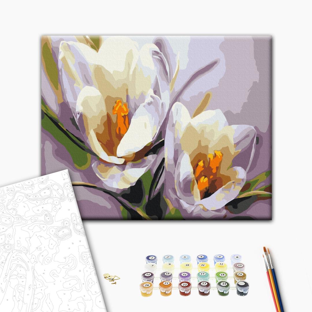 Krokusse - Malen nach Zahlen Bild auf Leinwand mit Pinseln und Farben