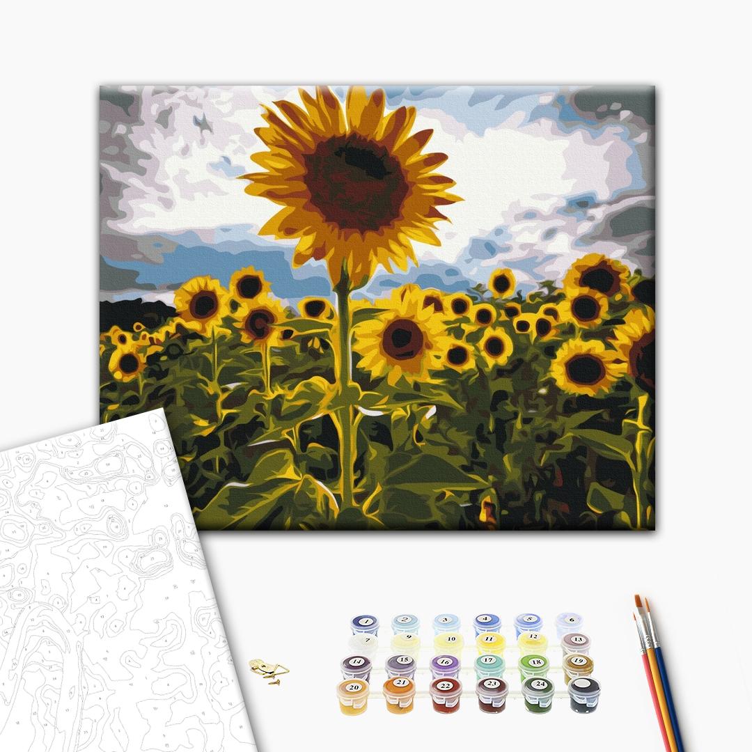 Feld mit Sonnenblumen - Malen nach Zahlen Bild auf Leinwand mit Pinseln und Farben