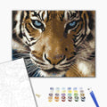Der Tigerblick - Malen nach Zahlen Bild auf Leinwand mit Pinseln und Farben