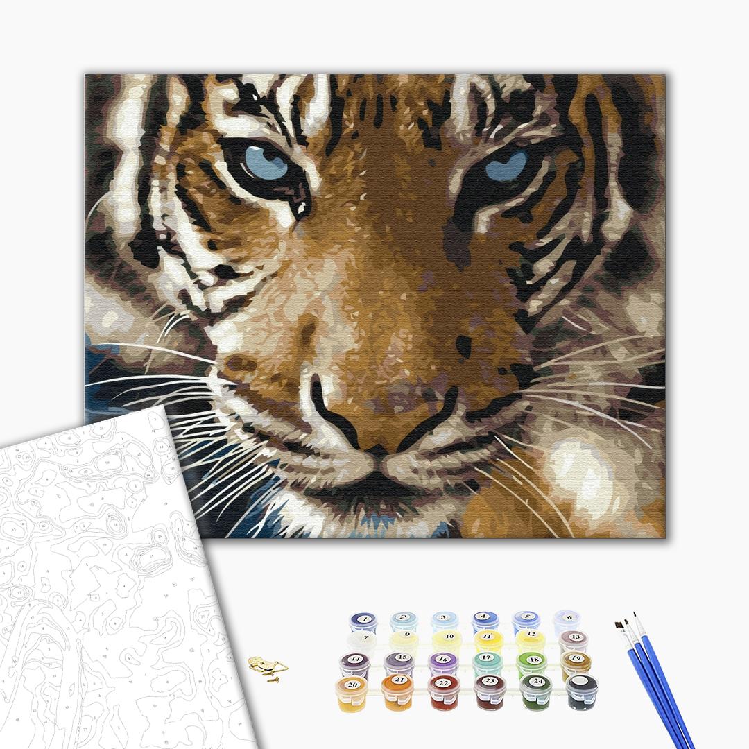 Der Tigerblick - Malen nach Zahlen Bild auf Leinwand mit Pinseln und Farben
